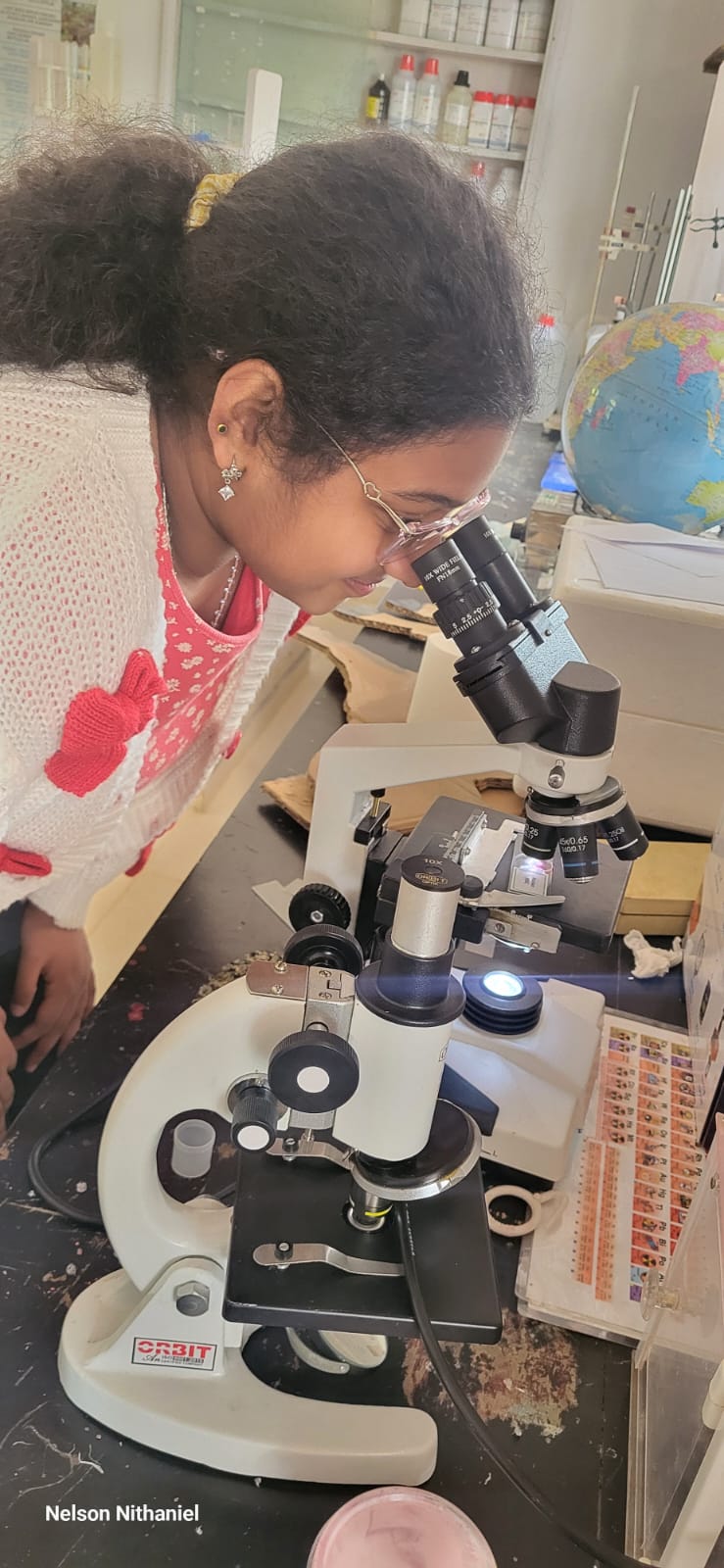 Wings, Legs and Lenses: Grade 10's Pooter Insect Investigation at bms