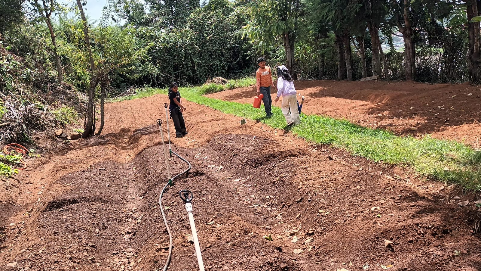 Soil Under Their Nails: Grade 3 Digs Into Gardening at bms