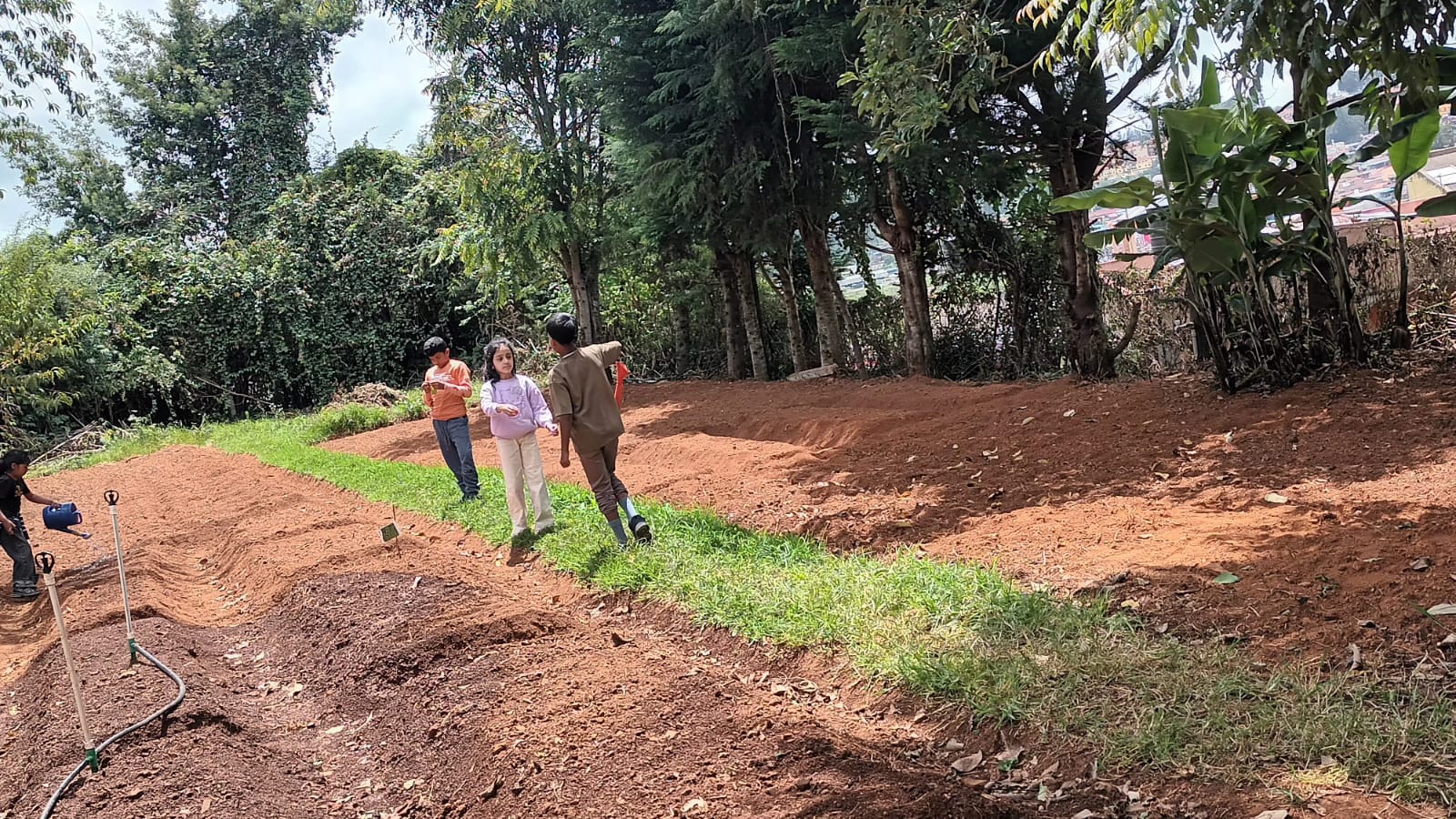 Soil Under Their Nails: Grade 3 Digs Into Gardening at bms