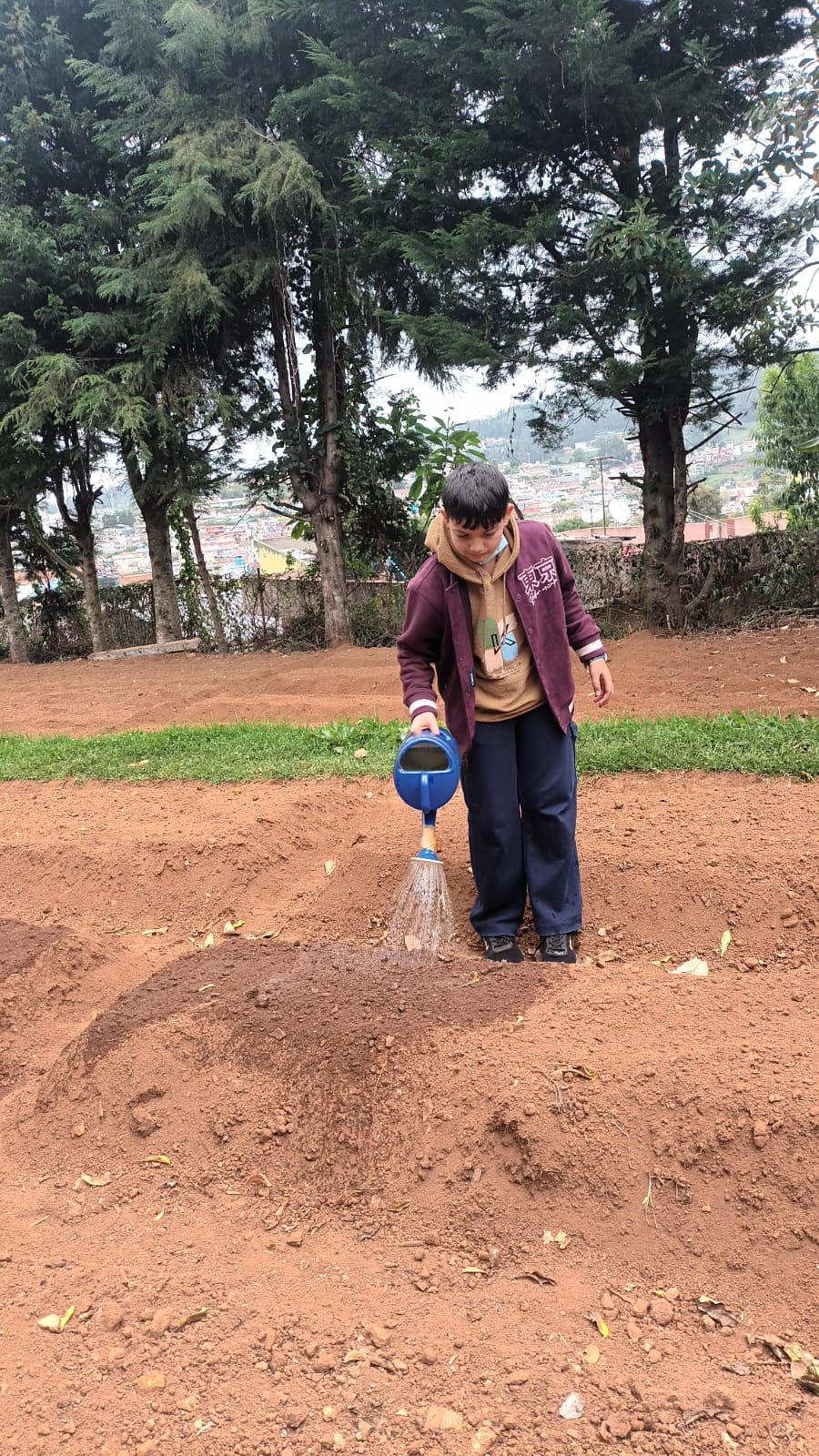 Grade 6 and 7 Get Their Hands Dirty: A Joint Gardening Class at bms