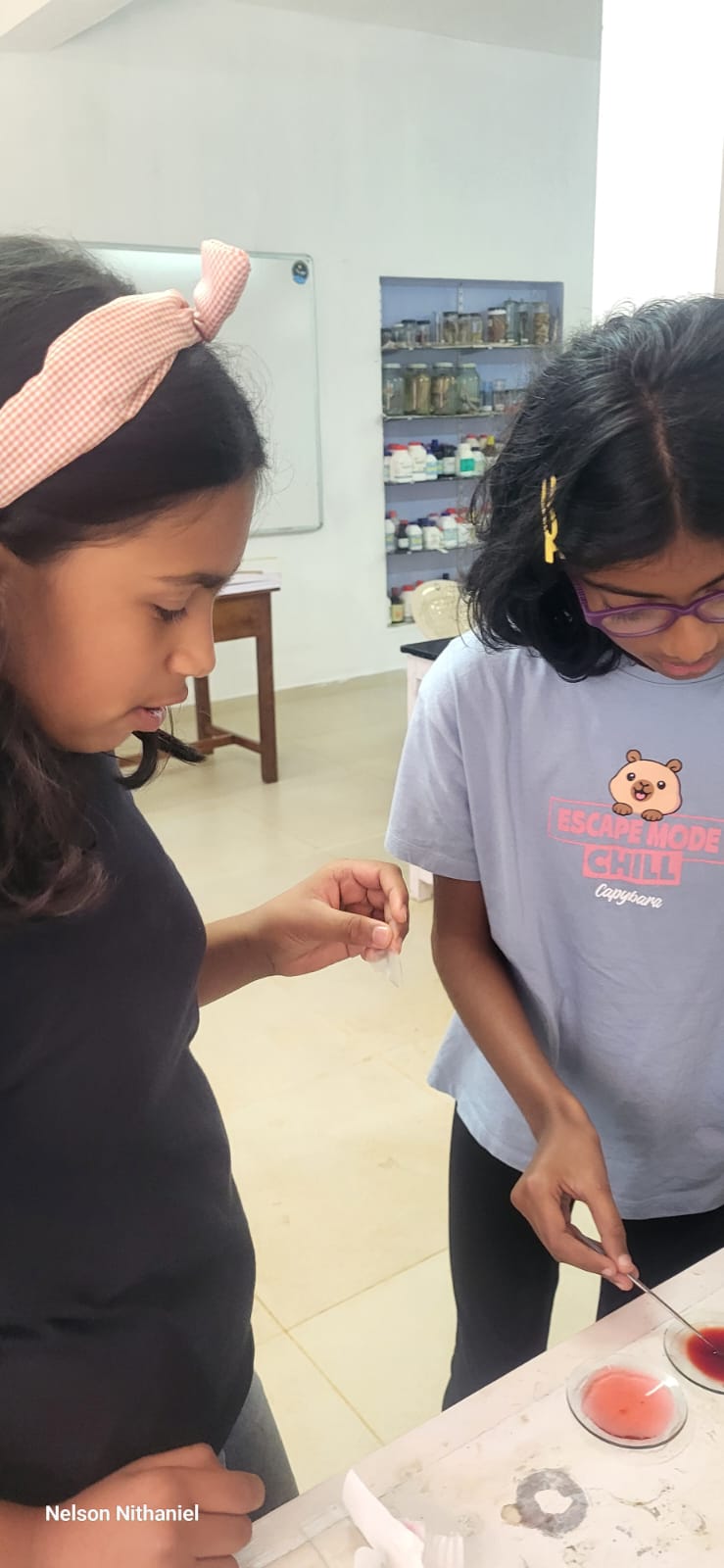 Two students examining a thin piece of onion peel in the lab