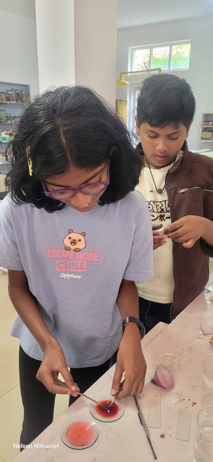 Students preparing a stained onion peel sample at the lab bench