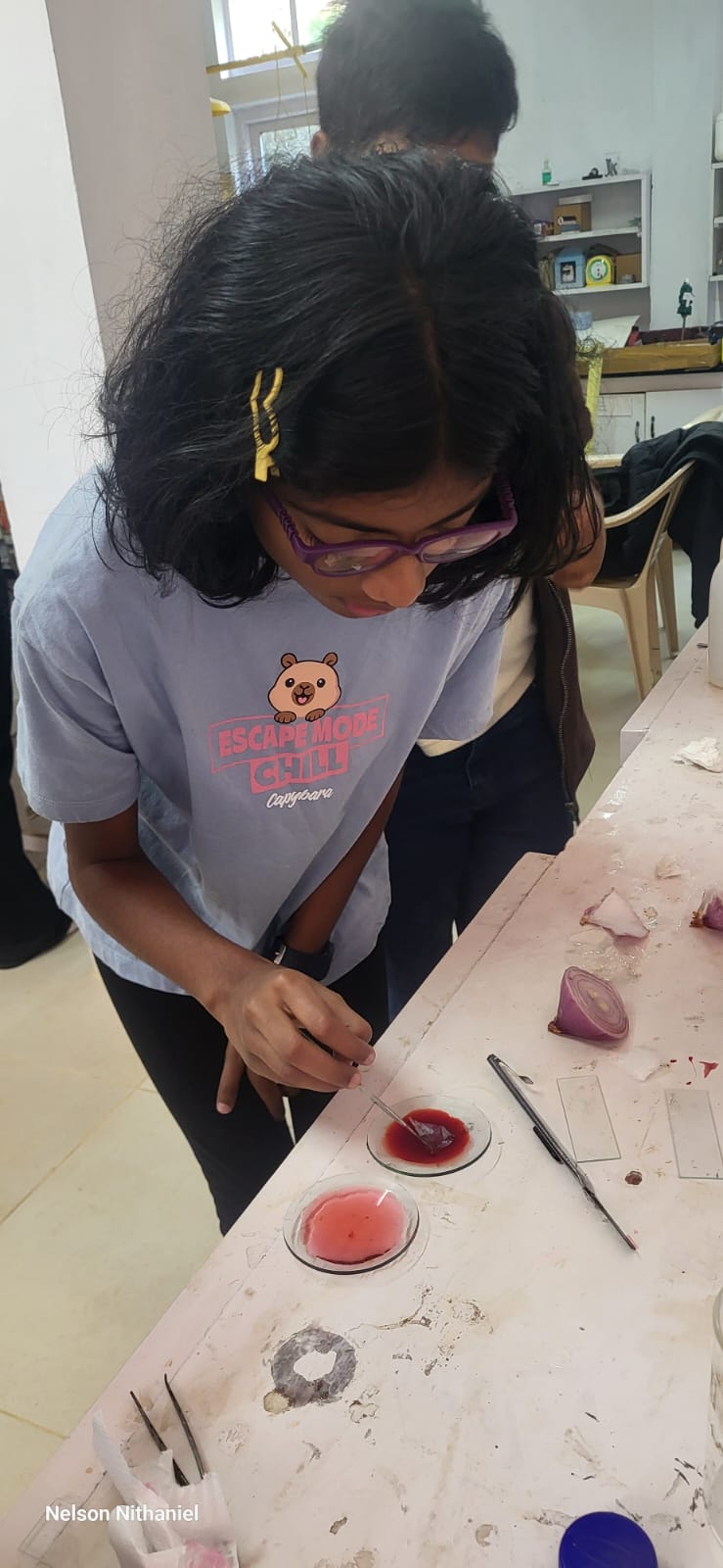 A student preparing her onion peel slide with stain at the bench