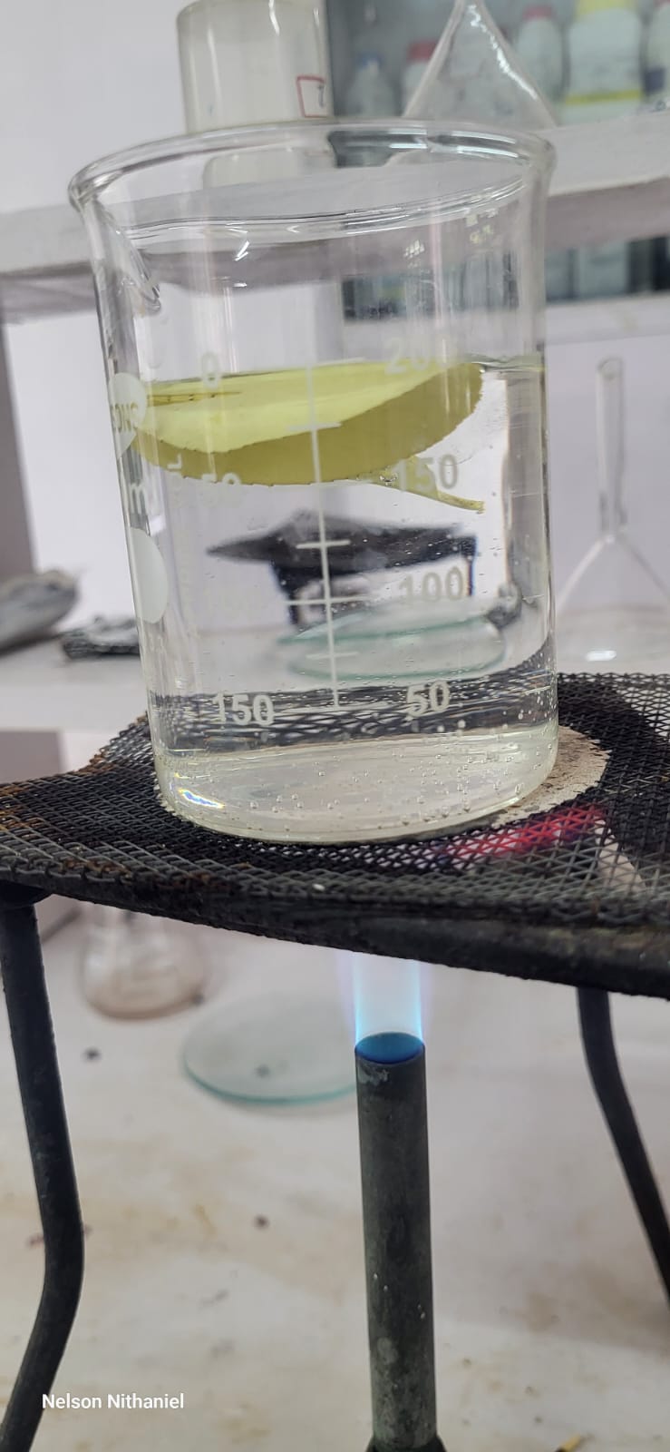 A leaf boiling in a beaker of water over a Bunsen burner