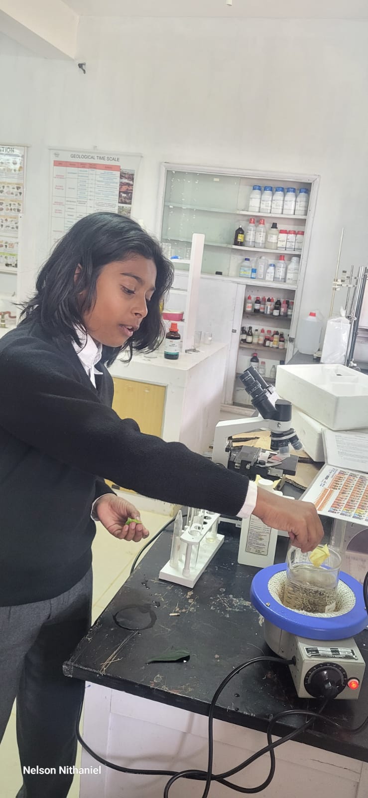 A student adding the leaf to the boiling water beaker