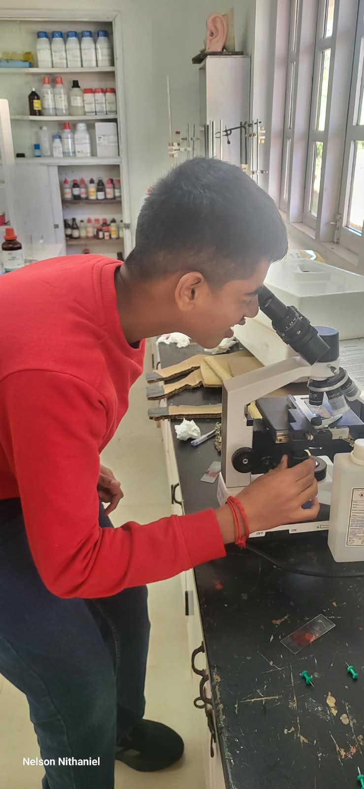 Grade 9 Biology Practical: Exploring Human Cheek Cells at bms