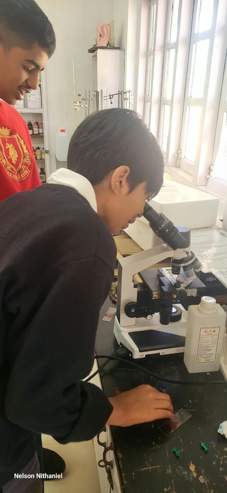 A Grade 9 student looking into a light microscope during the cheek cell practical
