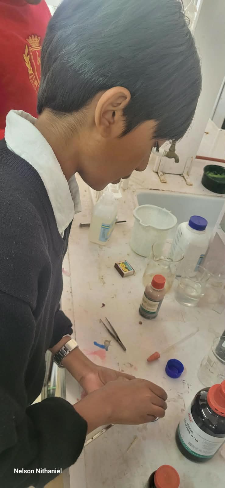 A student carefully applying stain to the slide
