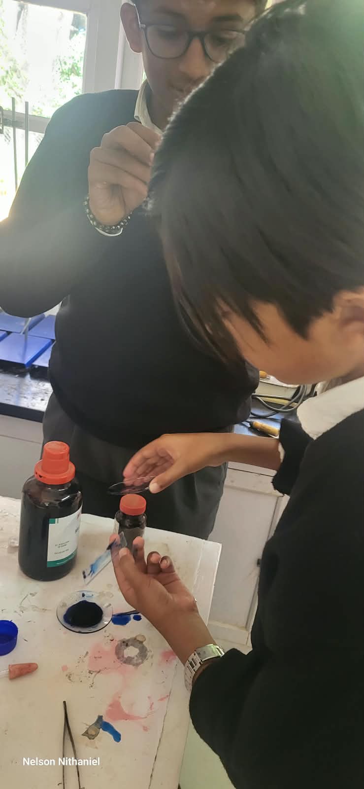 A student collecting a cheek cell sample with a cotton swab