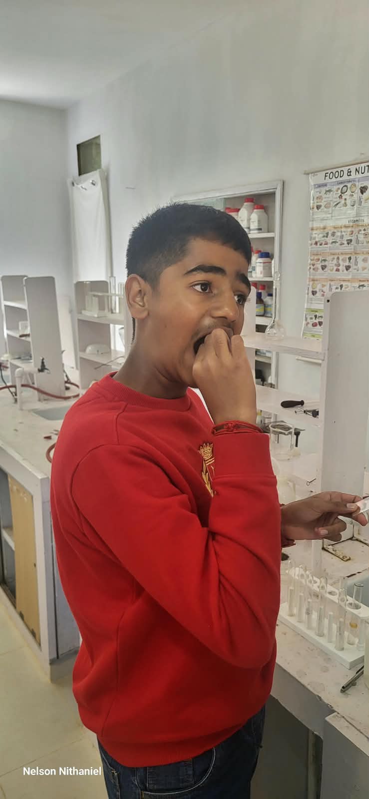 A student collecting epithelial cells from their cheek