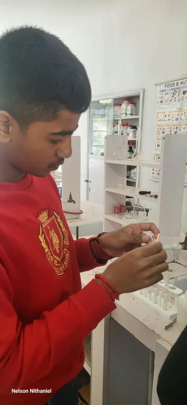 Classmates collecting their cheek cell samples together