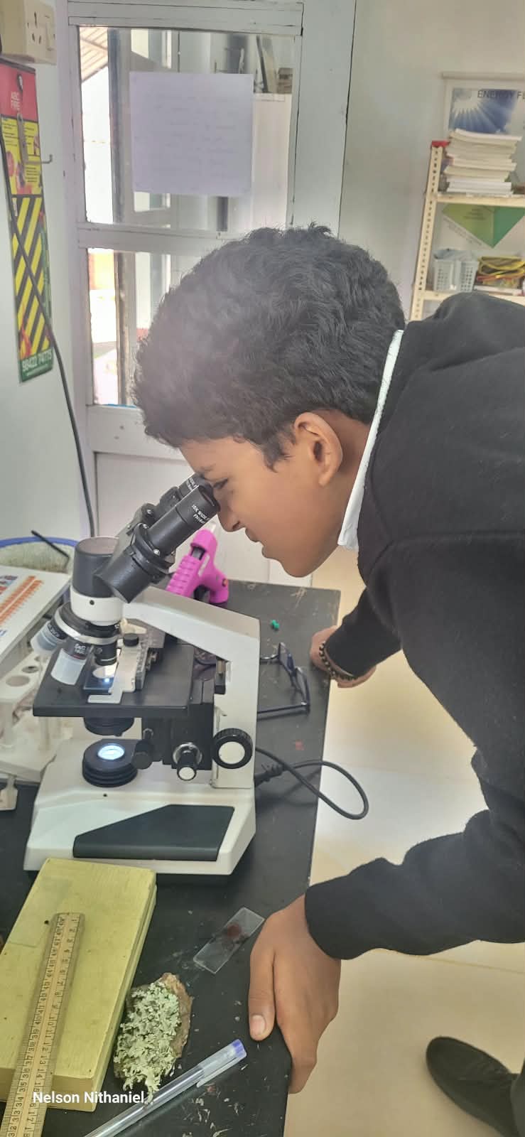 A student observing cheek cells through the microscope