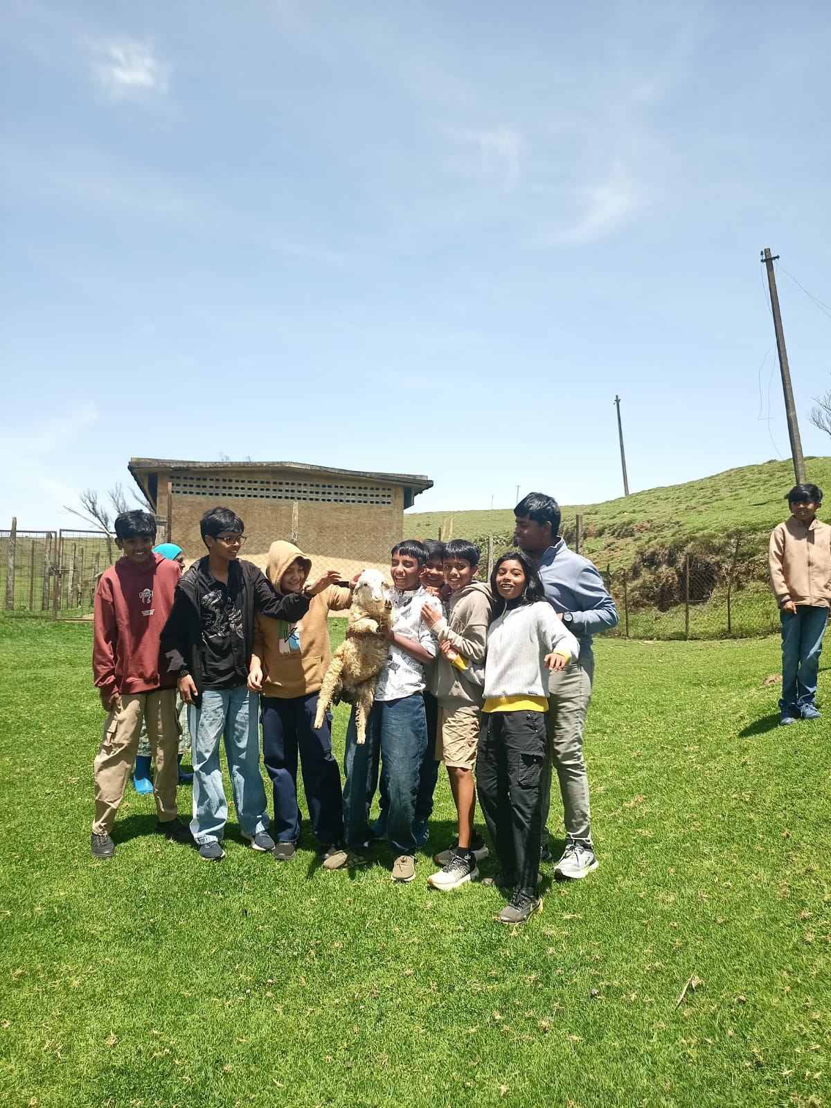 A group of students petting a lamb on the grass