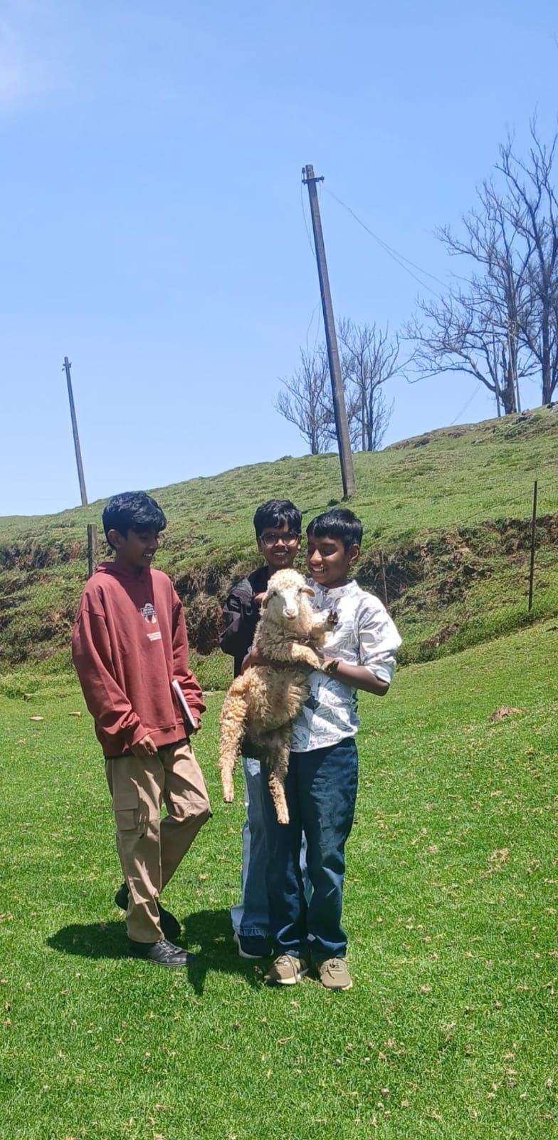 Three students holding a lamb on the hillside