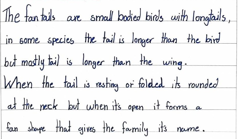 Handwritten field note by Grade 7 — The Fantails