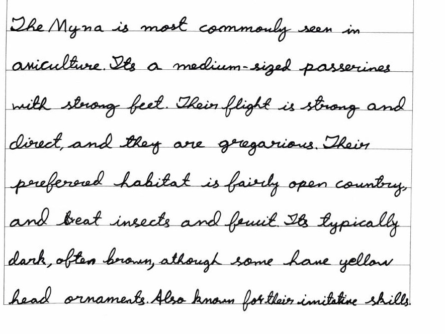 Handwritten field note by Grade 7 — Myna