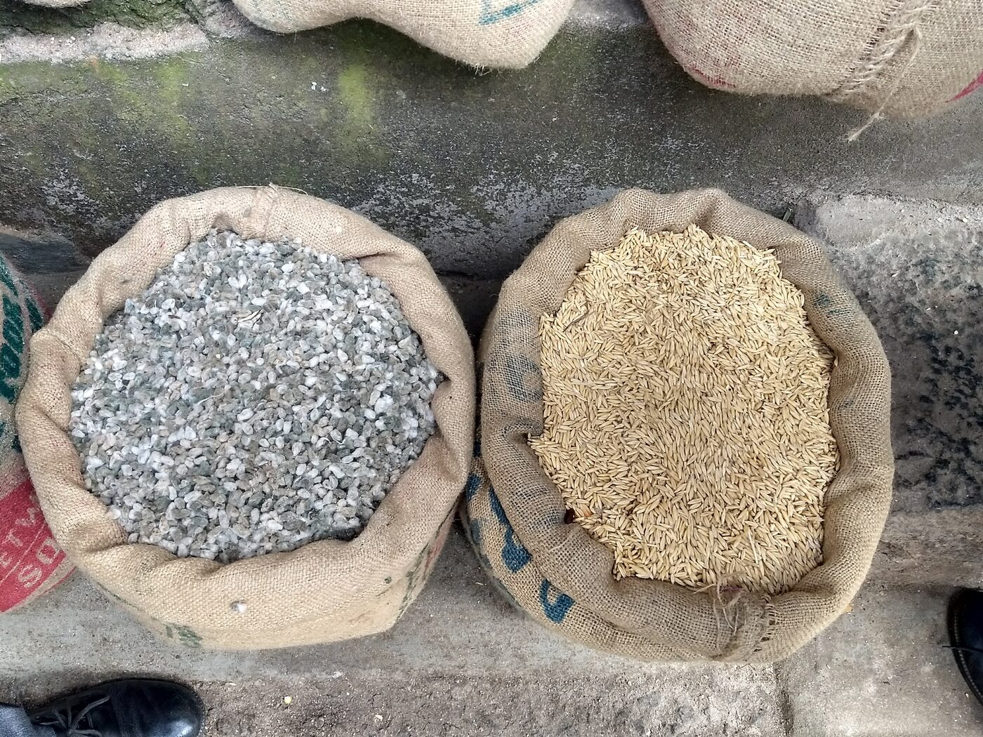 Two more sacks of grain
